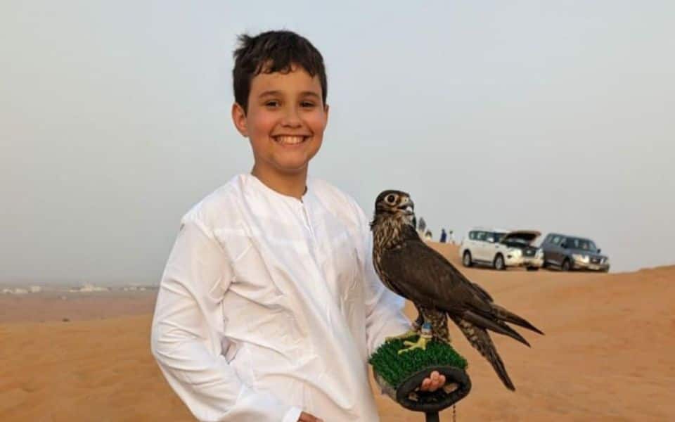 Falconry Demonstrations