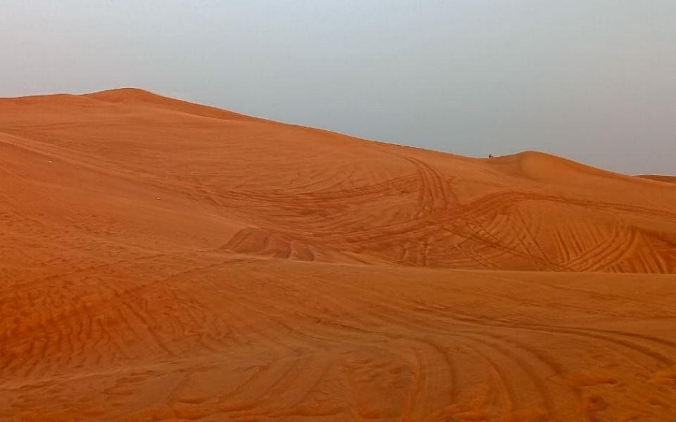  Dune Bashing and Camel Riding