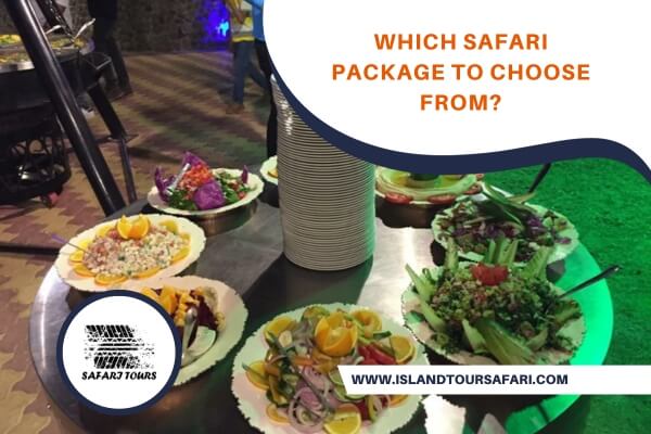 Which safari package to choose from?