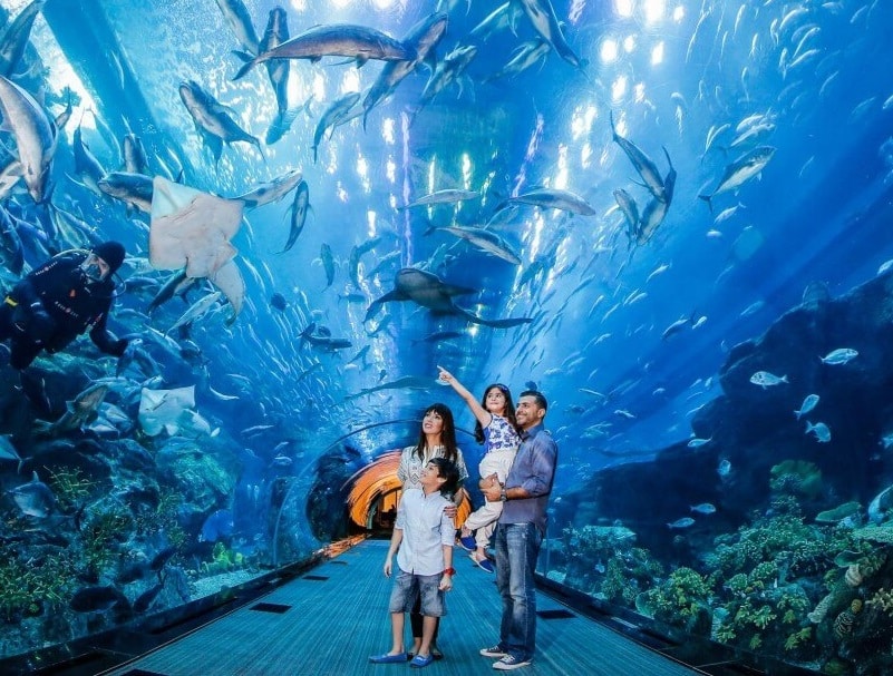 largest suspended aquarium