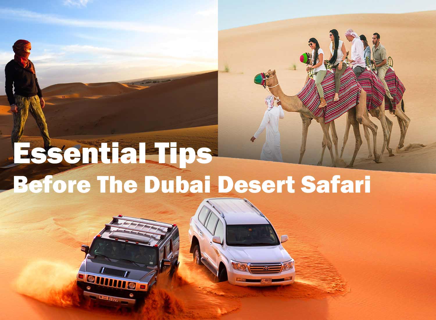 essential tips before the dubai desert safari