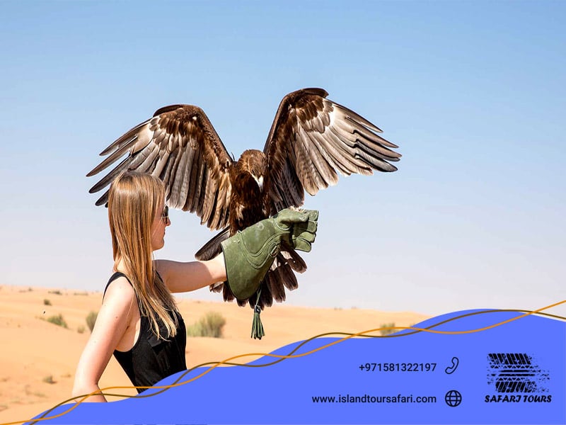 falcon show in dubai safari